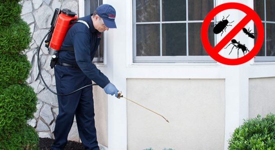 Kozluk Tahtakurusu İlaçlama böcek ilaçlama ve haşere kontrolü — ilaclama-tr.com